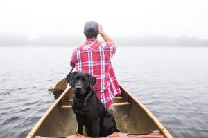 perro labrador negro barca rio amigo fiel